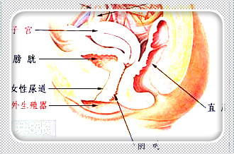 重庆哪的妇科医院好