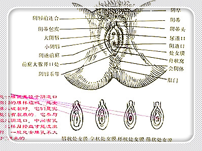 女性妇科检查一定要重视